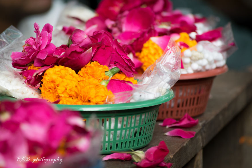Strangers To Friends: Pushkar Mela Strangers To Friends: Pushkar Mela