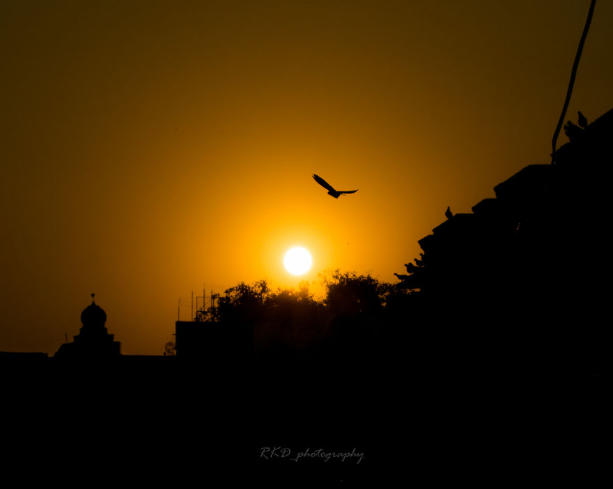 Strangers To Friends: Pushkar Mela Strangers To Friends: Pushkar Mela