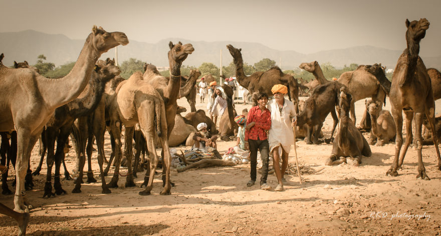Strangers To Friends: Pushkar Mela Strangers To Friends: Pushkar Mela