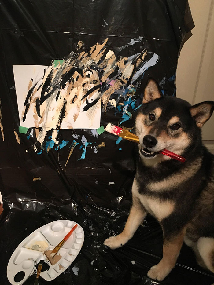Owners Teach Their Shiba Inu To Paint Sell Paintings Worth 5000