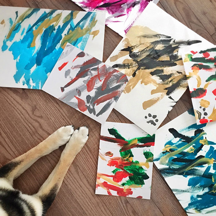 Owners Teach Their Shiba Inu To Paint, Sell Paintings Worth ~$5000