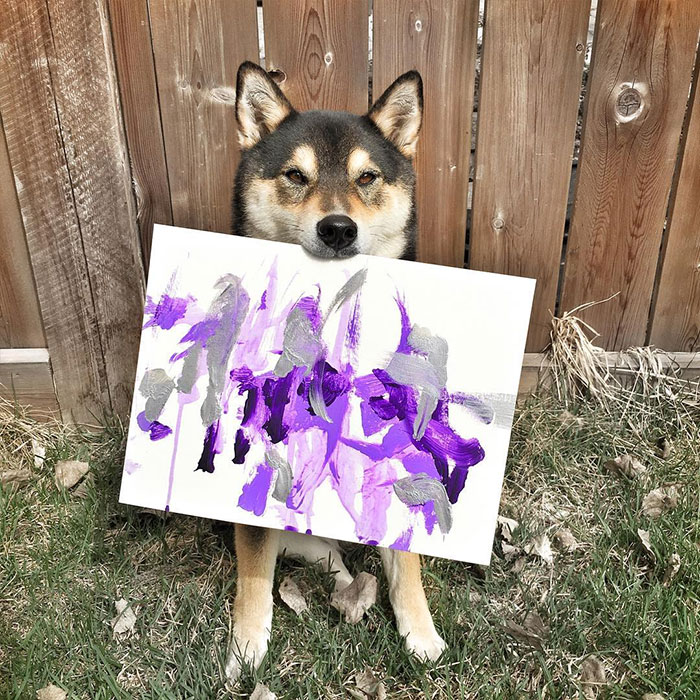 Owners Teach Their Shiba Inu To Paint, Sell Paintings Worth ~$5000