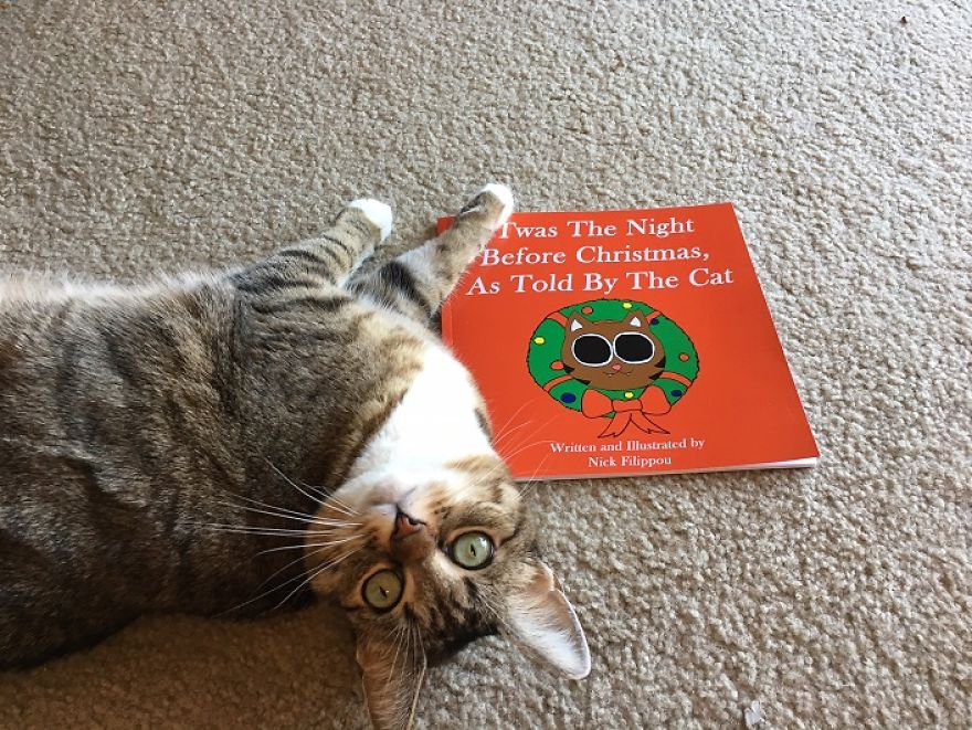 I Wrote And Illustrated A Christmas Book Starring My Rescue Kitty