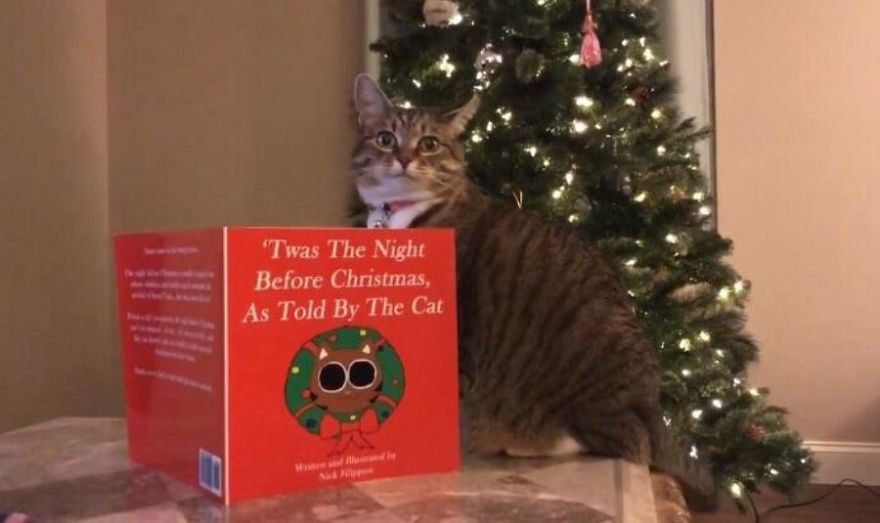 I Wrote And Illustrated A Christmas Book Starring My Rescue Kitty