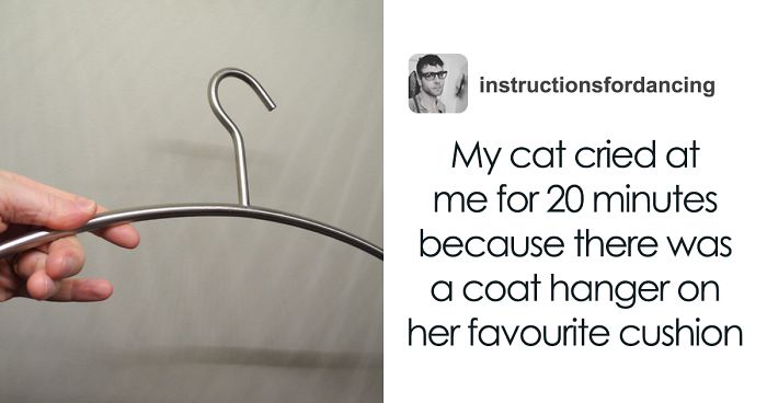 13 Times Cats Hilariously Surprised Their Owners With How Weird They Are