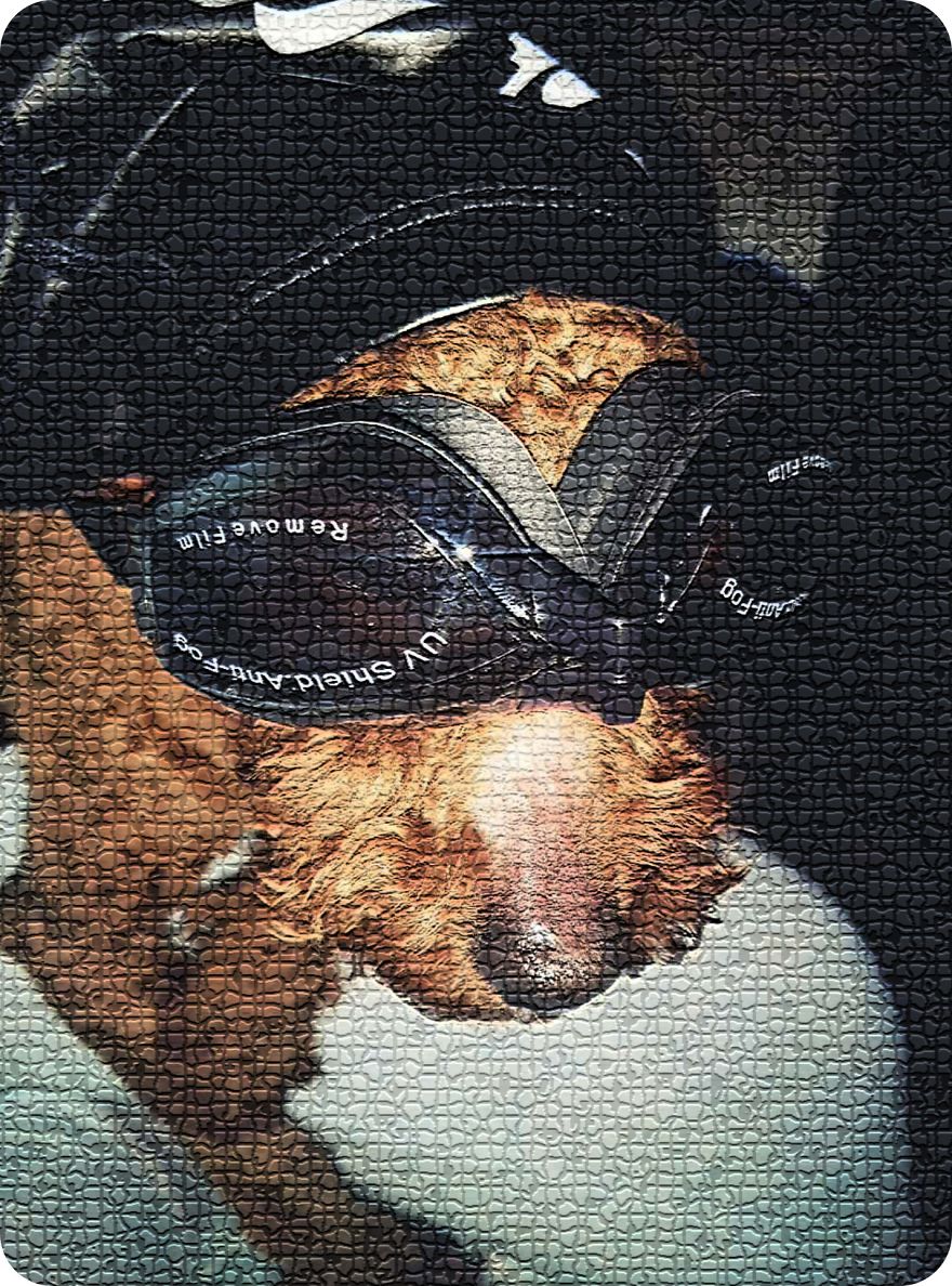 He Was The Best Kiss Giver.'pet Me'never Get It Any More He Was The Best Kiss Giver.'pet Me'never Get It Any More