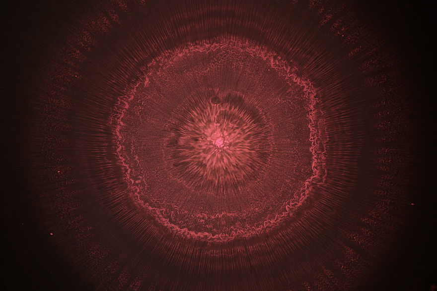 Morphodynamics Of Physical Phenomena, Archetypal Coincidence