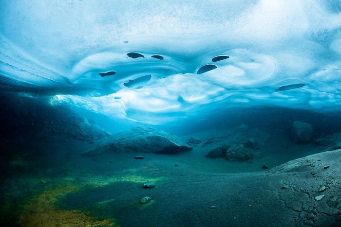 Крутые подводные фотографии красота