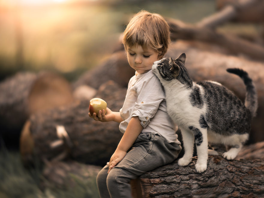 I Photographed The Beautiful Bond Between My Son And Our Cats