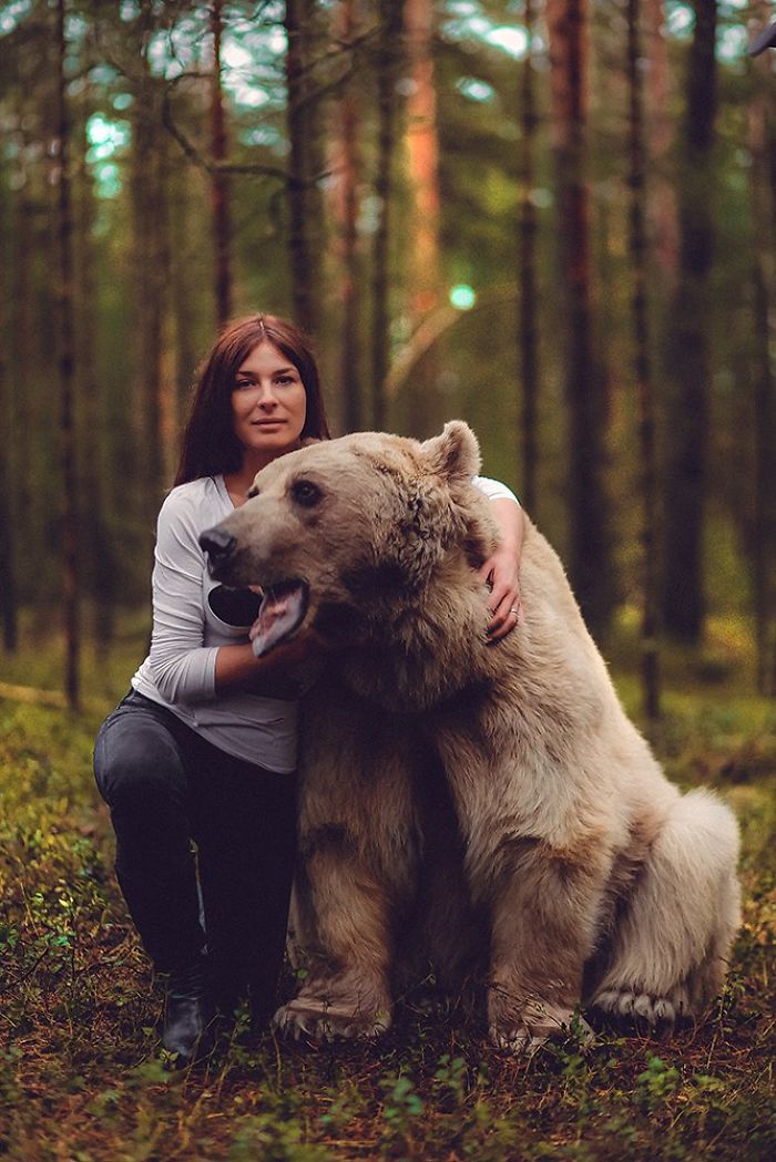 Photoshoot With A Menacing Bear