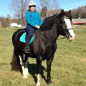 sunflowerfarm08 avatar