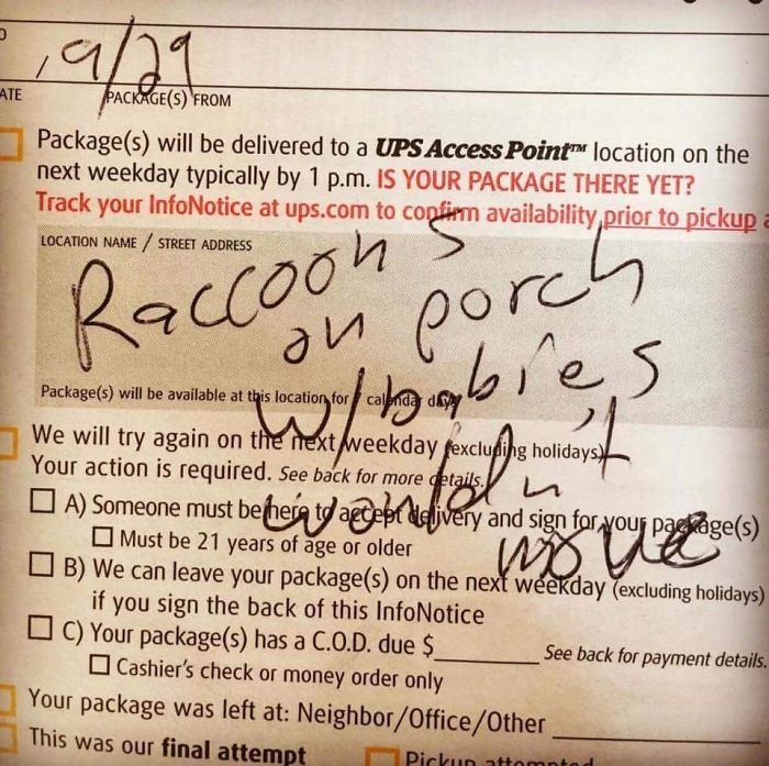 Just Another Day In My Hometown Of Anacortes, WA For The Local UPS Driver