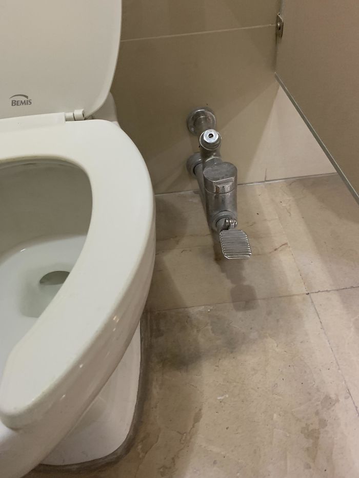 This Toilet Flushes By Using Your Foot