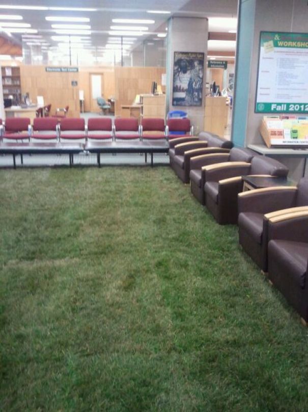 Campus Library Installs Grass. Real Grass