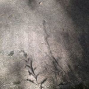 jessica_denney_mcgill avatar