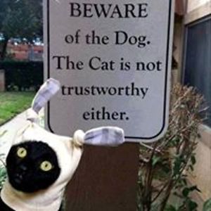 karenhokanson avatar