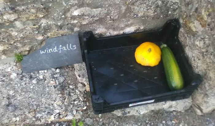 Local Custom: Around Here People Put Out Spare Veg From Their Garden For Anyone To Help Themselves