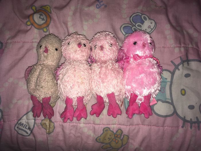 My Mom Bought The Same Stuffed Animal For My Sister In Case She Lost It. After 16 Years, We Found All Four Of Them