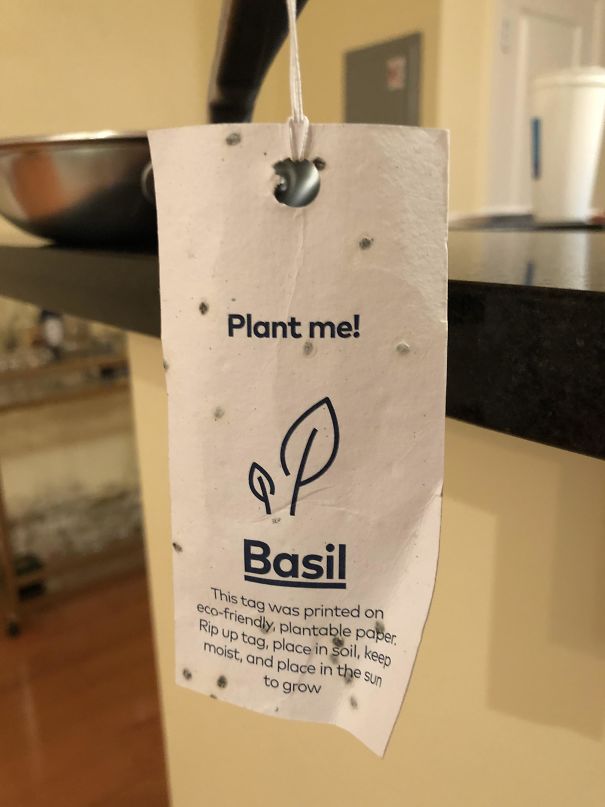 The Paper Tag Attached To My New Pan Can Be Planted To Grow Herbs
