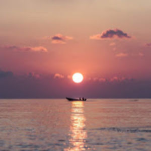 graciannasedivy avatar