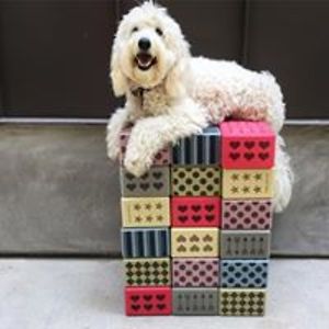 phoebethedoodle
