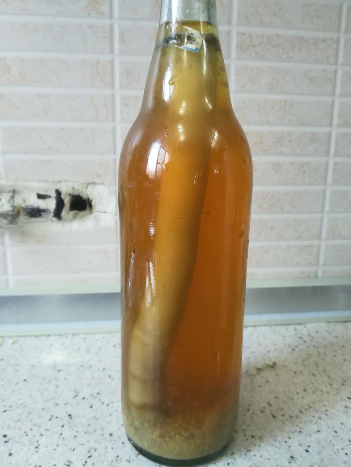 Esta botella de zumo de naranja natural llevaba abandonada 1 año en un armario y algo está creciendo en ella