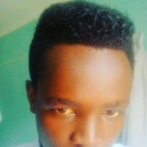 laibuch_nathans avatar