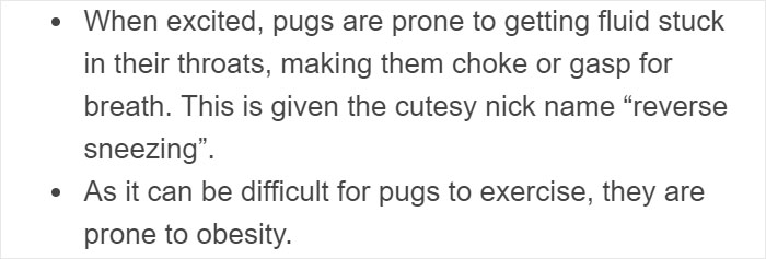 “Pugs Are Not Cute, [They’re] Malformed, Sick Animals That Shouldn’t Exist”: This Tumblr Thread May Change The Way You See Pugs