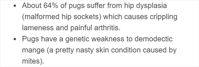 “Pugs Are Not Cute, [They’re] Malformed, Sick Animals That Shouldn’t Exist”: This Tumblr Thread May Change The Way You See Pugs