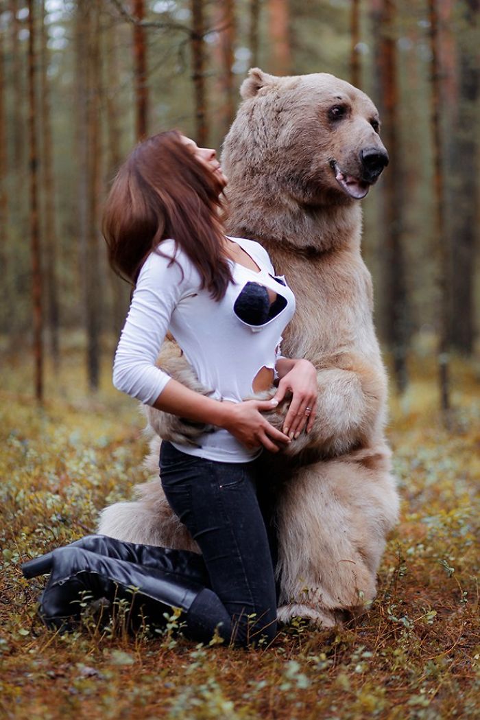 Photoshoot With A Menacing Bear