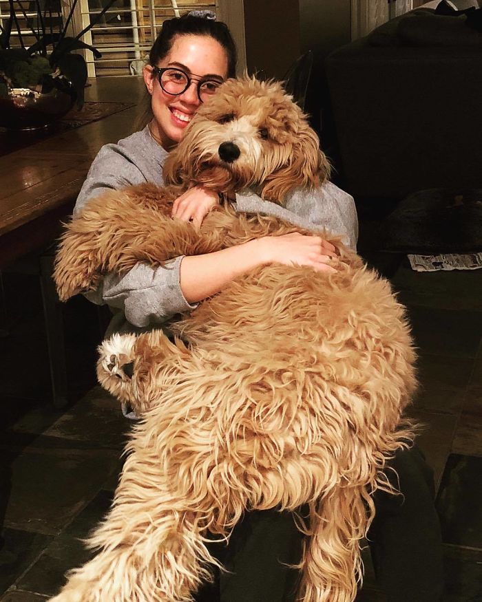Woman hugging her big brown dog 