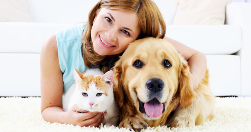 I Figured Out There 5 Simple Tricks To Keep Your Pets Engaged And Happy I Figured Out There 5 Simple Tricks To Keep Your Pets Engaged And Happy