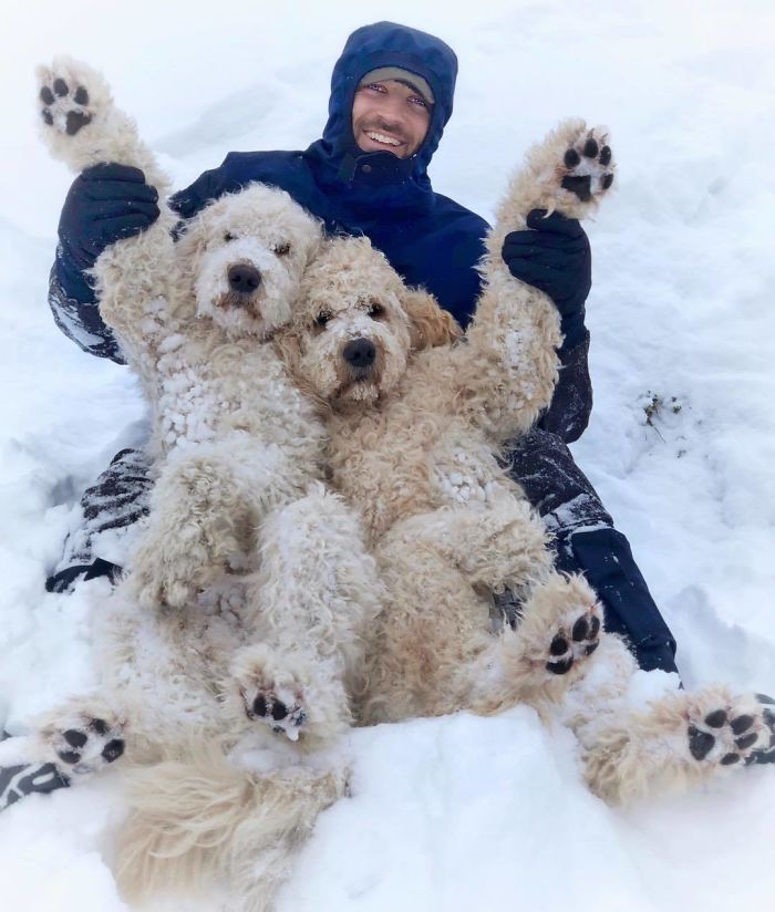 Man and his two happy dogs in a winter day 