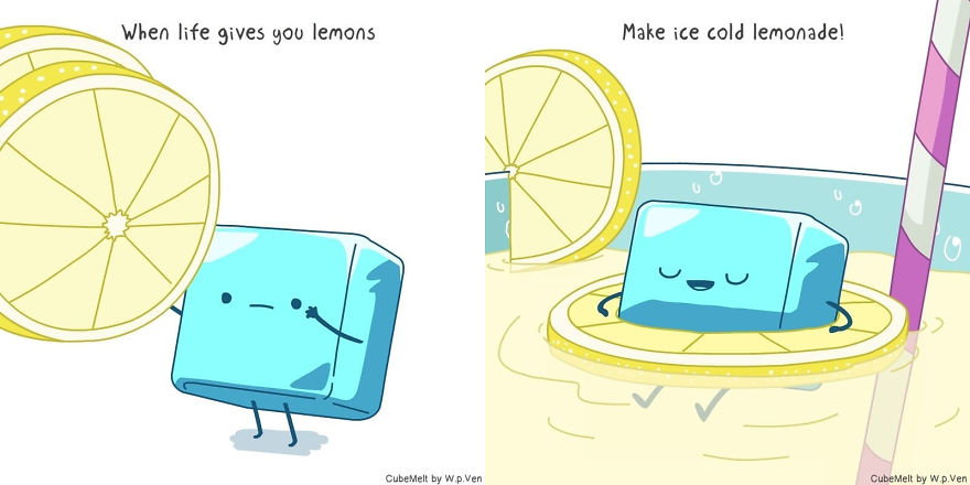 What Would You Do With Your Lemons?