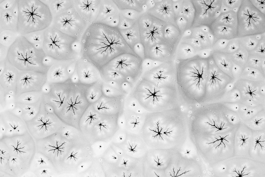 Winter Shapes