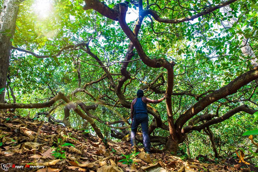 I Clicked Pictures While Solo Travelling With My Tripod And Camera, Just With A Different Perspective.