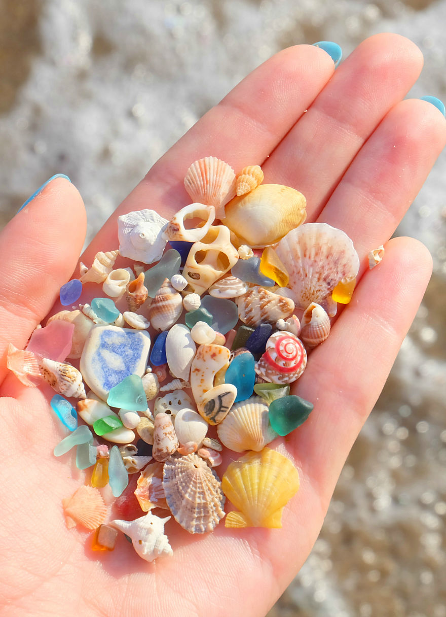 Tiny Sea Treasures