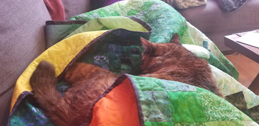 Supernova Quilt!