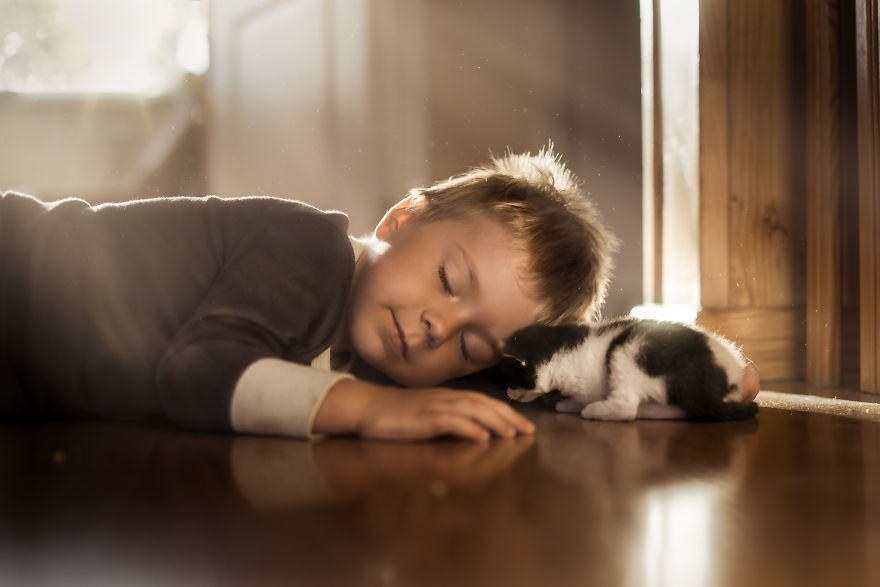 I Photographed The Beautiful Bond Between My Son And Our Cats