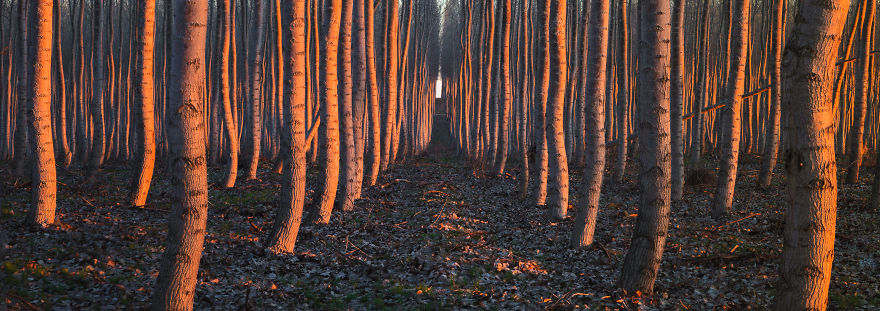 I Photographed These Beautiful Places Before They Were Destroyed By Climate Change. Tedx I Photographed These Beautiful Places Before They Were Destroyed By Climate Change. Tedx