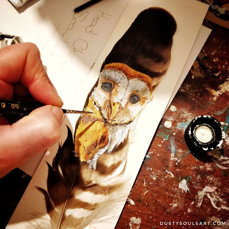 Barn Owl On Buzzard Feathers