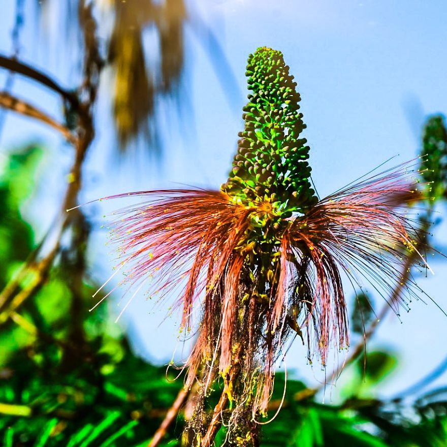 I Hope To Spread My Love Of Photography To The World...