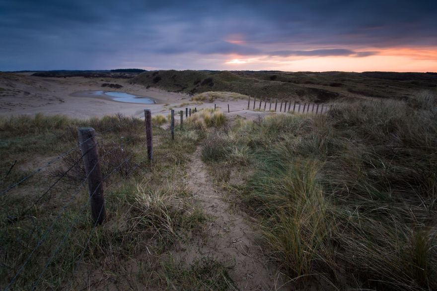 The Sunrise On The Dunes Of The Kennemerland National Park