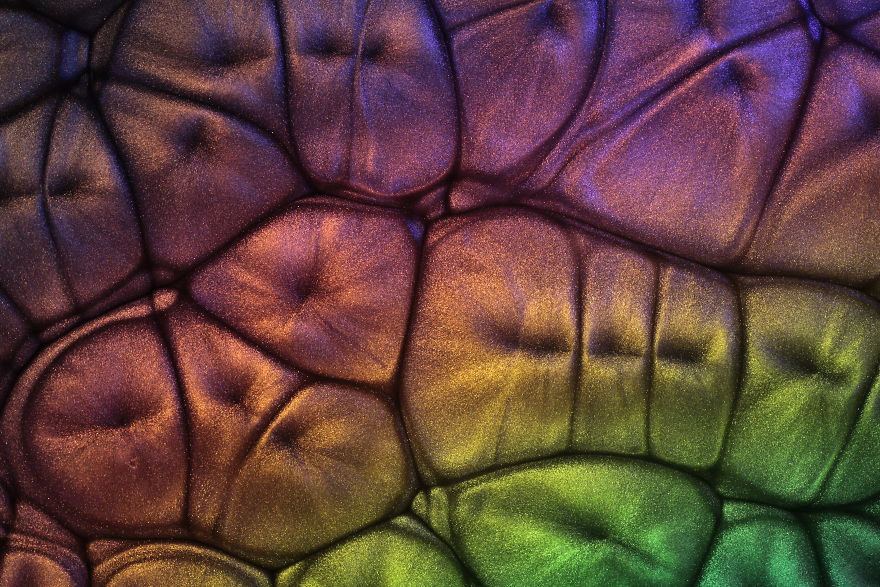 Morphodynamics Of Physical Phenomena, Archetypal Coincidence