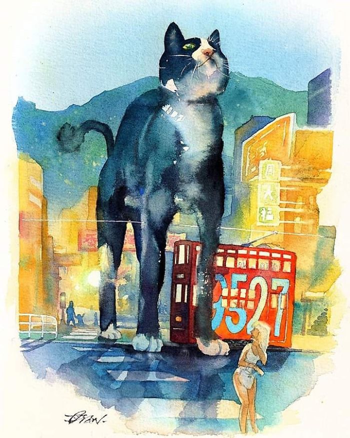 Big Cat In Hong Kong