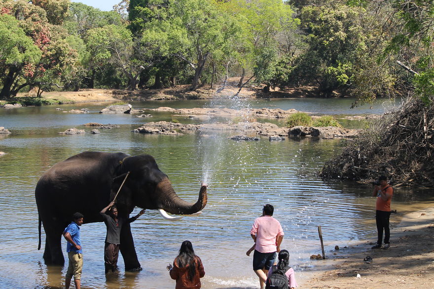 Reasons Why You Should Never Stop Yourself From Visiting Coorg!