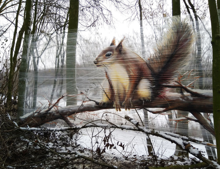 Painting A Squirrel In The Woods / Graffiti In The Woods / Snowy Day