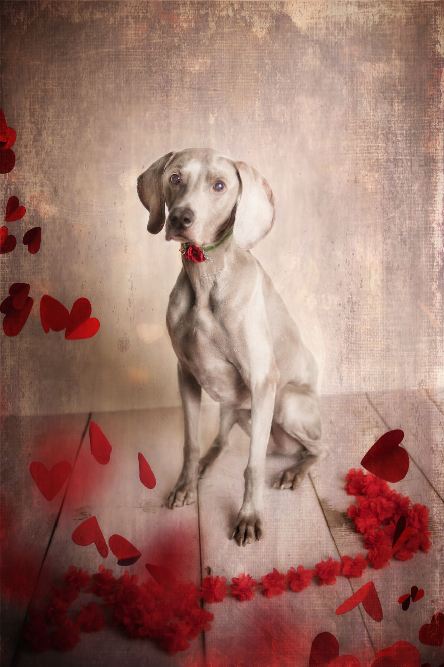 I Create Vintage Valentines From Photographs Of Children And Pets