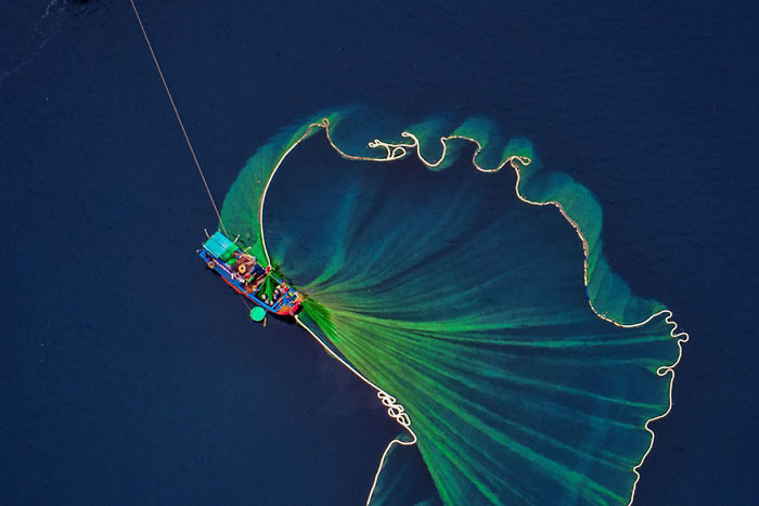 Recogiendo gambas en el mar, por Tuan Nguyen