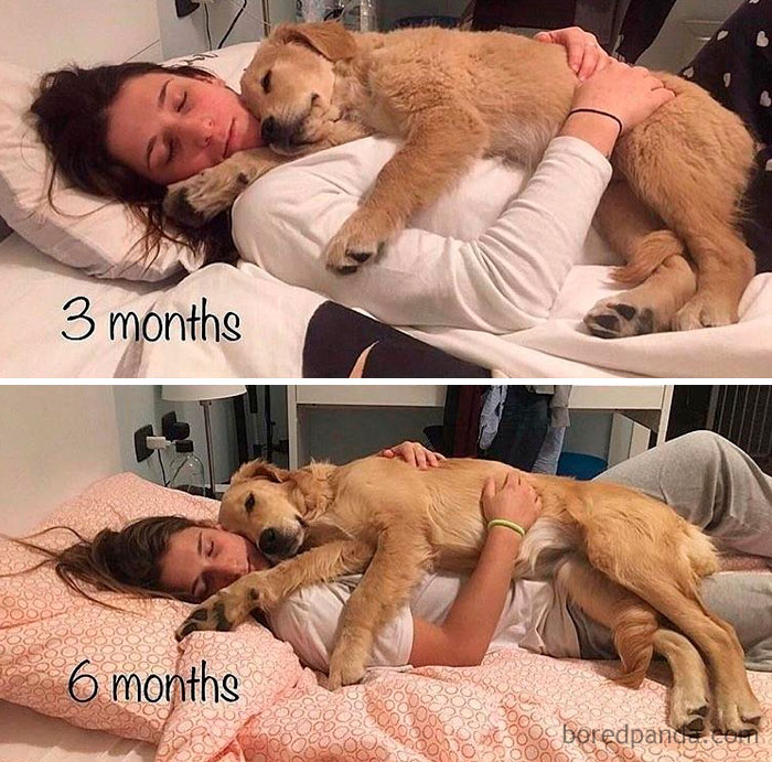 3 meses y 6 meses